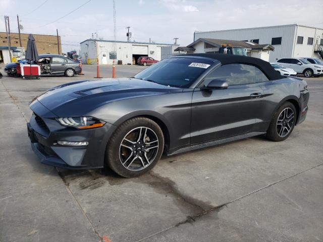 Ford All models (2019)