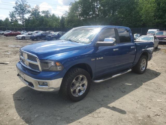 Dodge All models (2009)