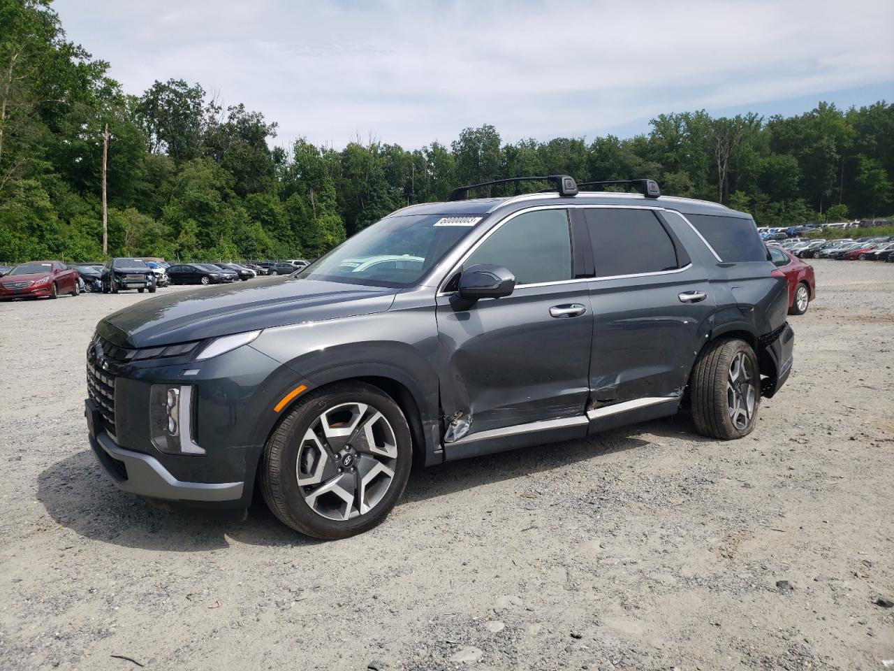 Hyundai Palisade (2023)