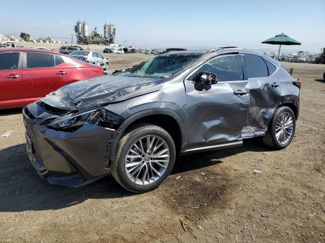 Lexus Nx 350 (2023)