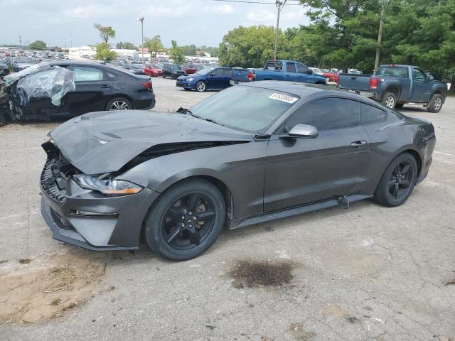Ford All models (2019)