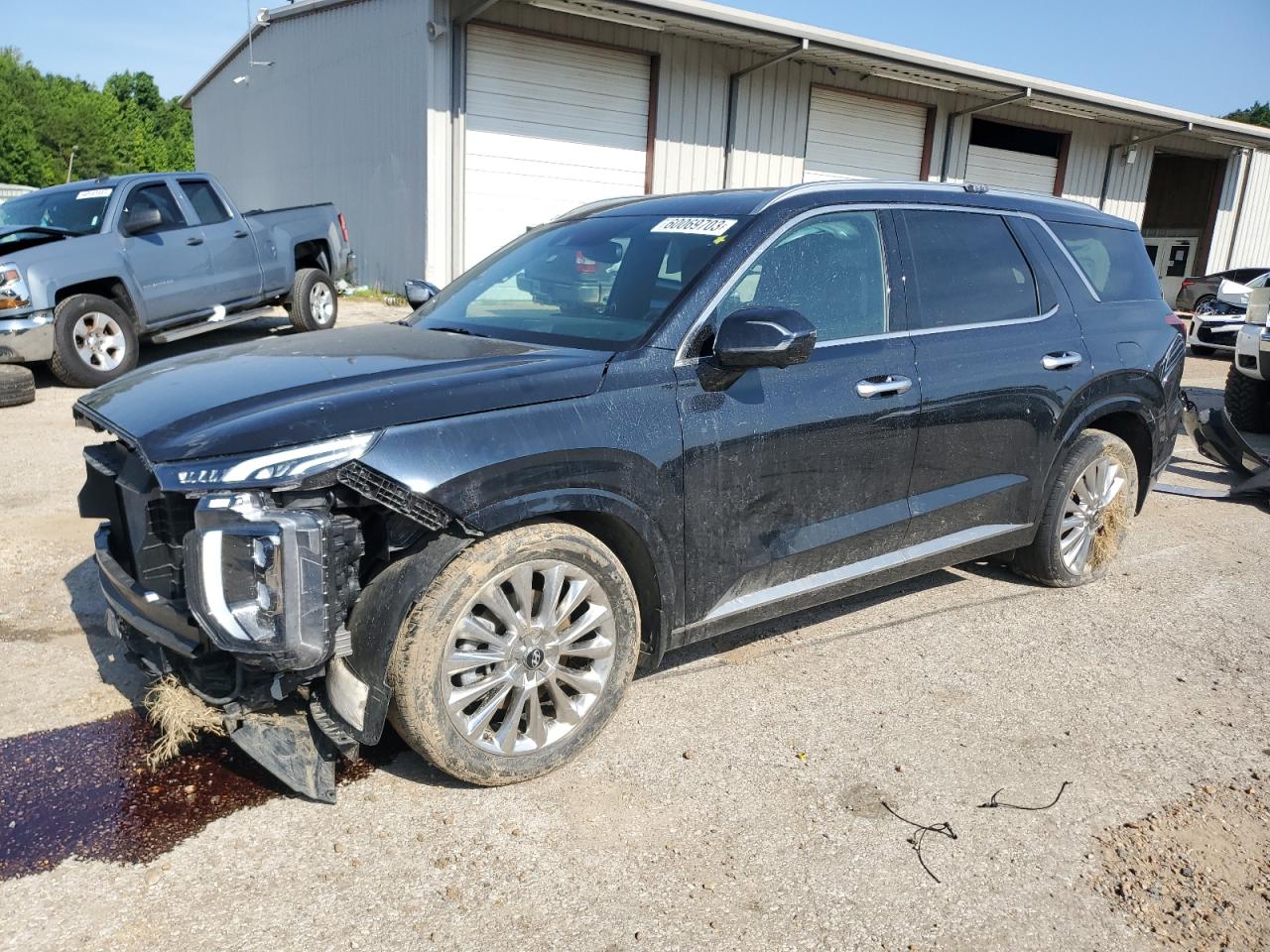 Hyundai Palisade (2020)