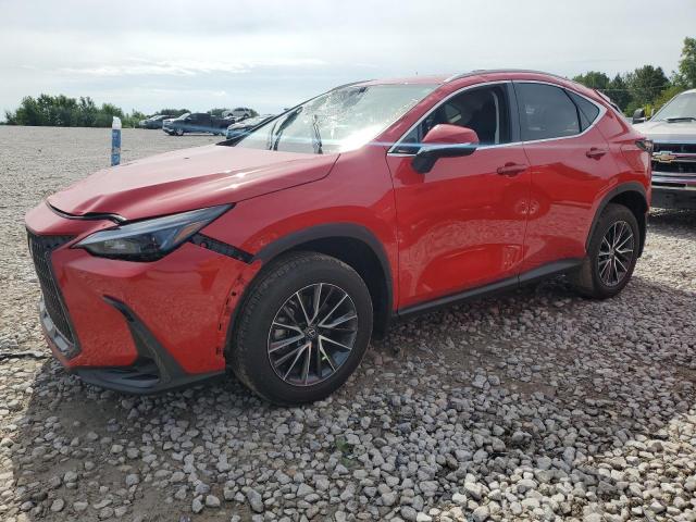 Lexus Nx 350 (2023)