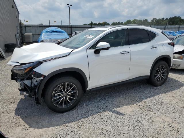 Lexus Nx 350h ba (2024)