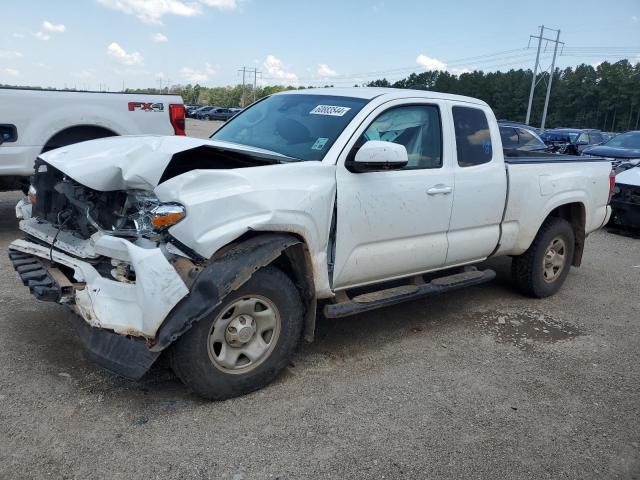 Toyota Tacoma (2021)