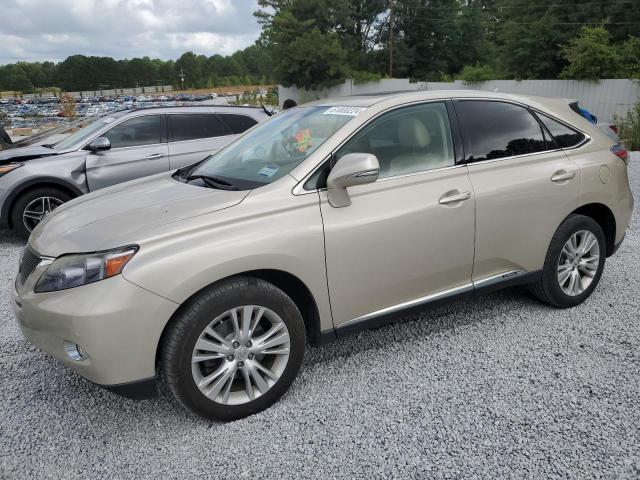 Lexus Rx450 (2011)