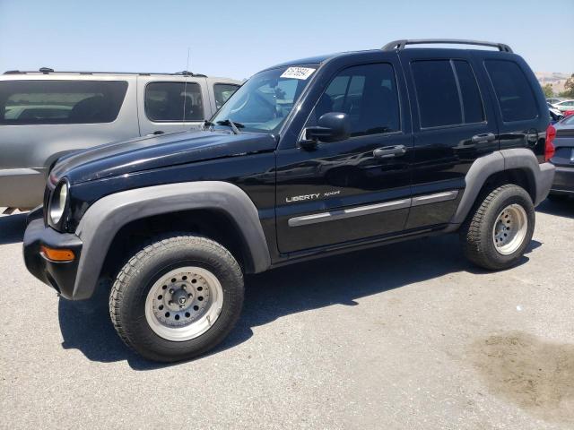 Jeep Liberty (2002)