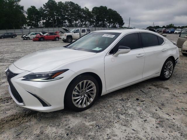 Lexus Es300 (2022)