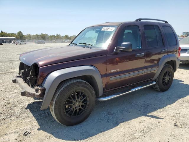 Jeep Liberty (2004)