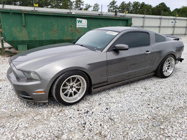 Ford All models (2013)