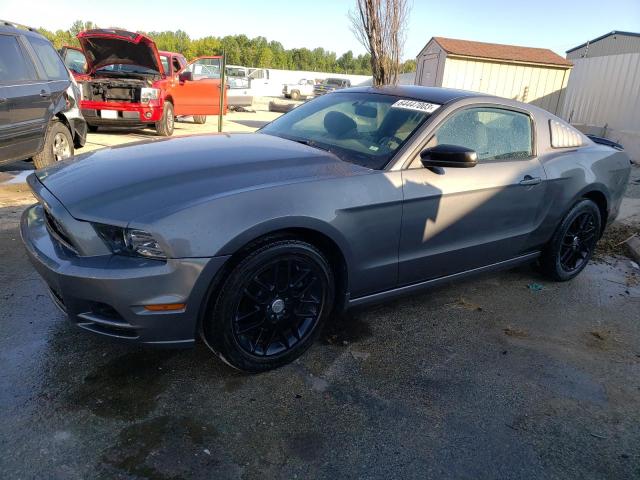 Ford All models (2014)