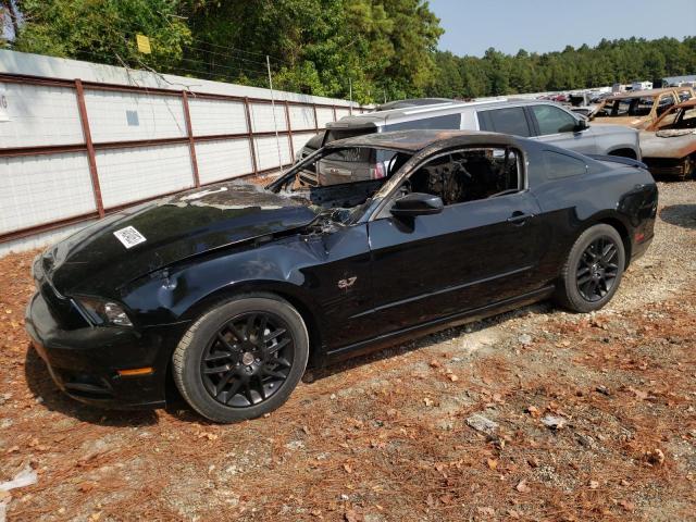 Ford All models (2014)