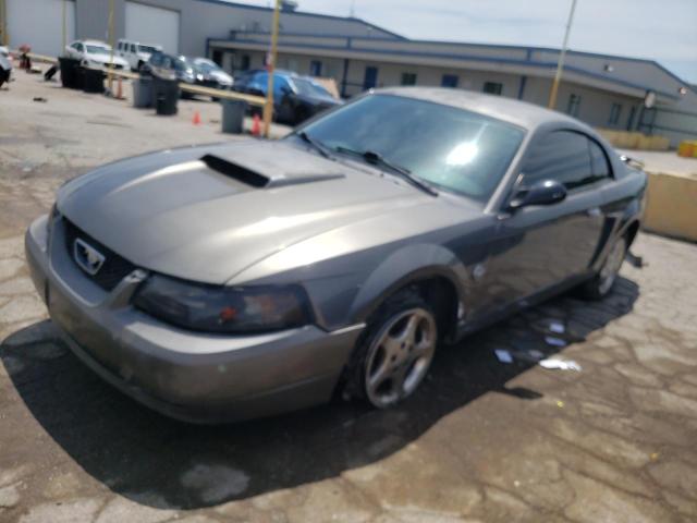 Ford All models (2004)