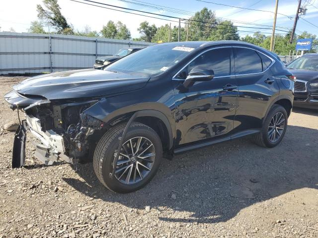 Lexus Nx 350 (2023)