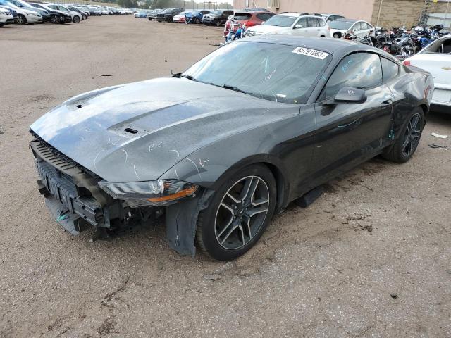 Ford All models (2019)
