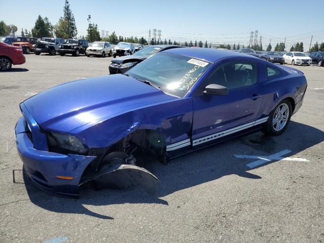 Ford All models (2013)