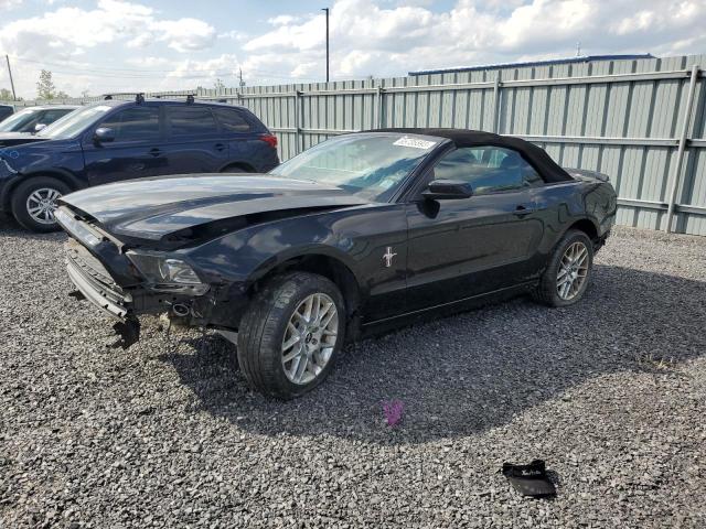 Ford All models (2014)