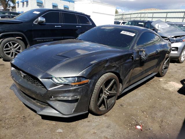 Ford All models (2019)