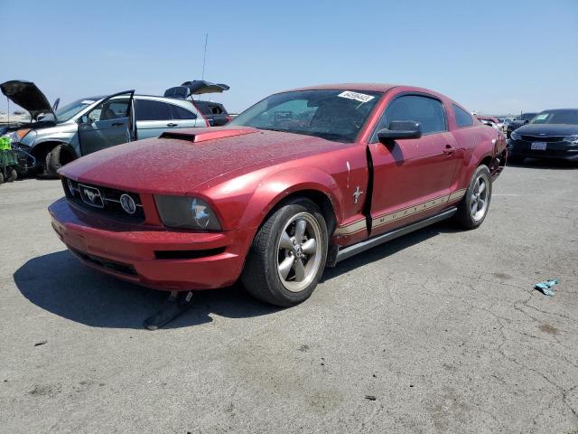 Ford All models (2006)