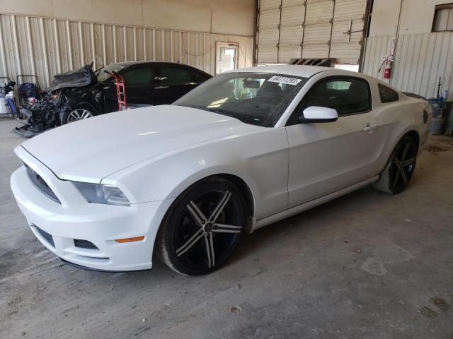 Ford All models (2014)