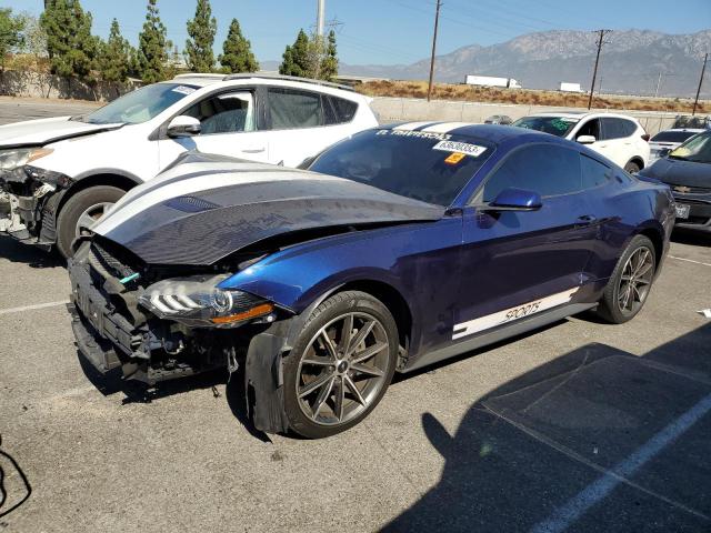Ford All models (2019)