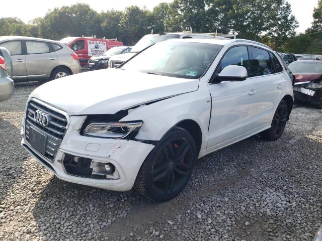 Audi Sq5 (2014)