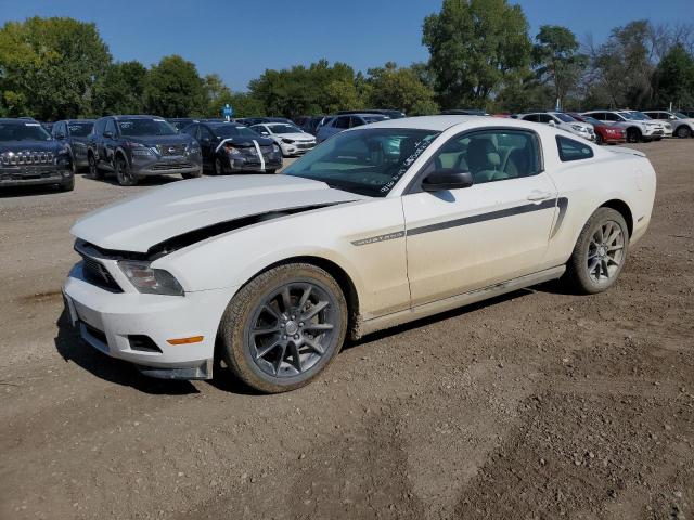 Ford All models (2011)