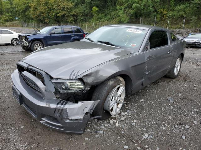 Ford All models (2013)