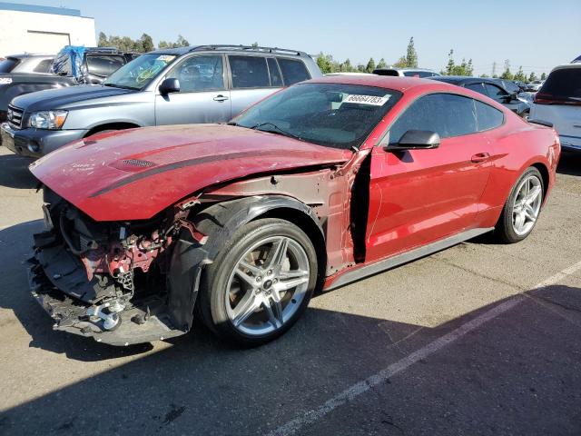 Ford All models (2020)