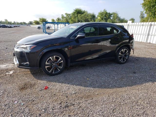 Lexus Ux 250h pr (2023)