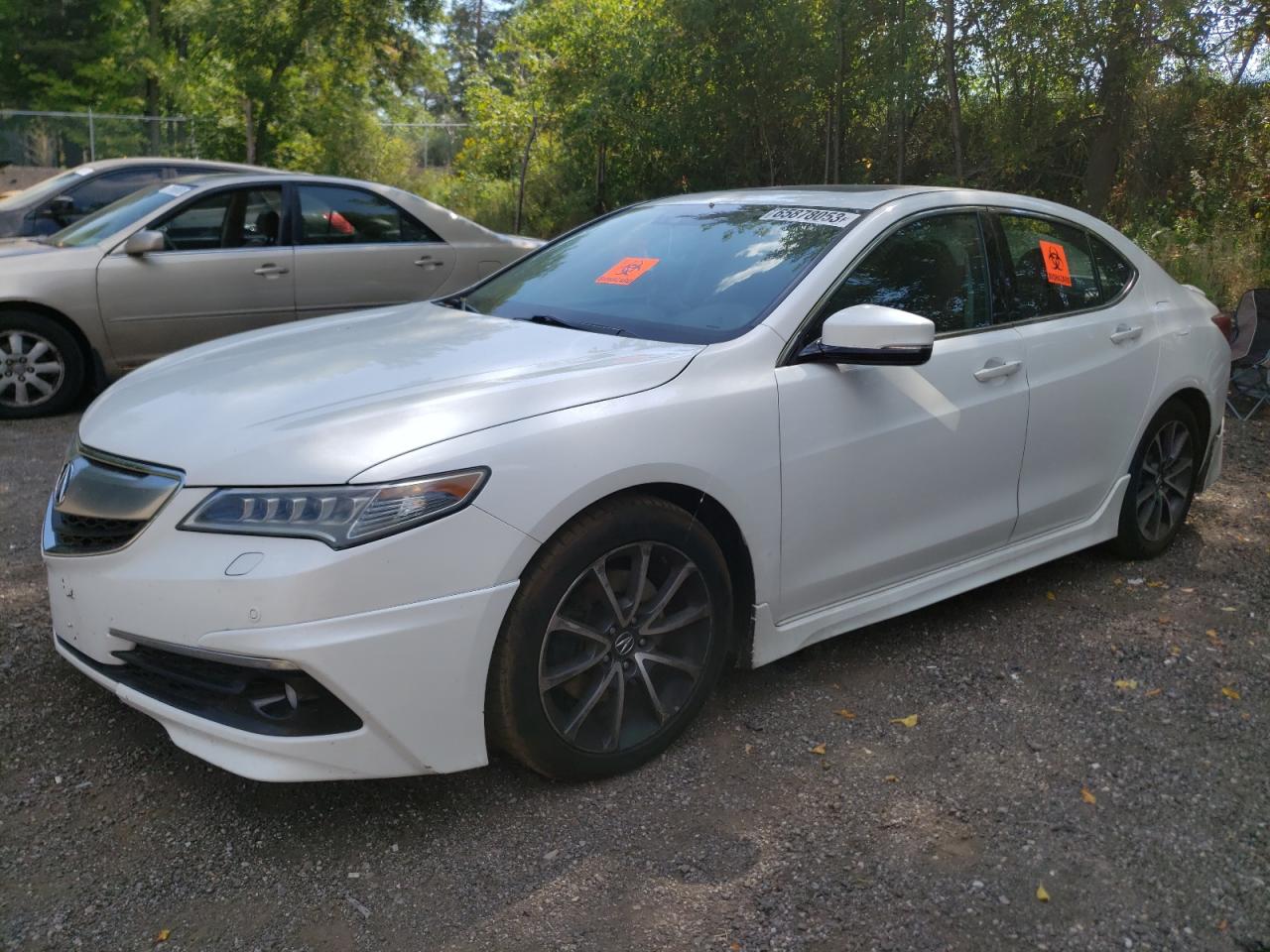 Acura Tlx advanc (2015)
