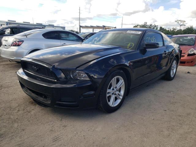 Ford All models (2014)