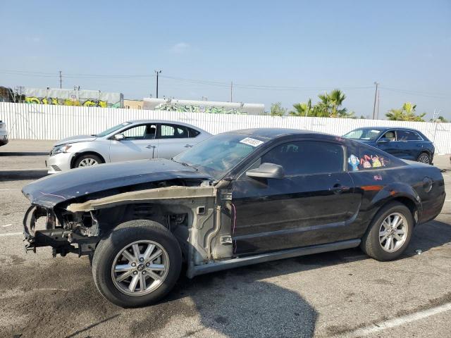 Ford All models (2007)