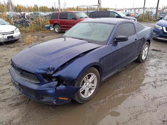Ford All models (2012)