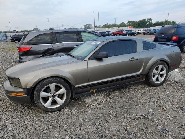 Ford All models (2005)
