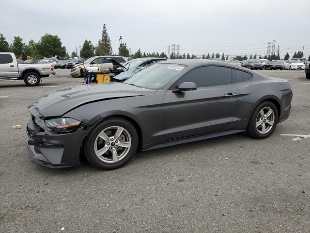 Ford All models (2020)