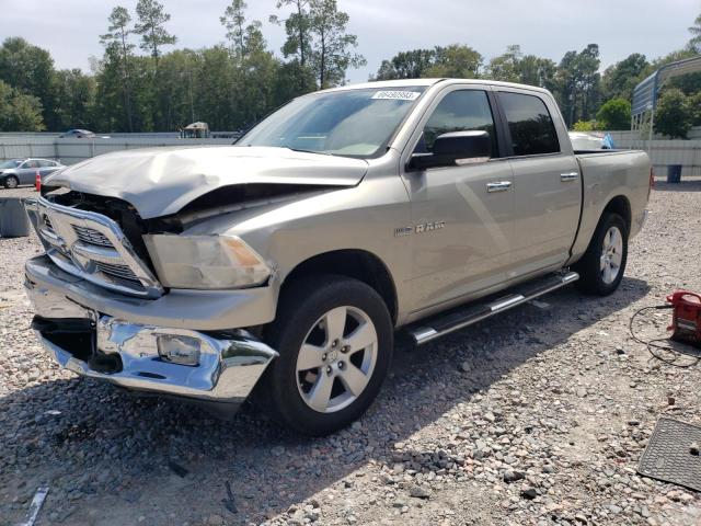 Dodge All models (2009)