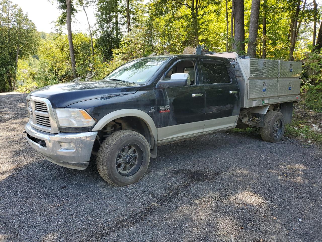 Dodge Ram (2010)