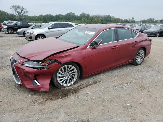 Lexus Es300 (2020)