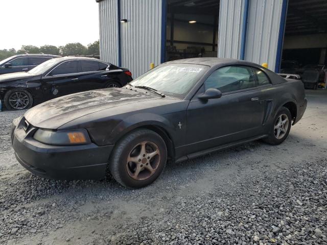 Ford All models (2001)