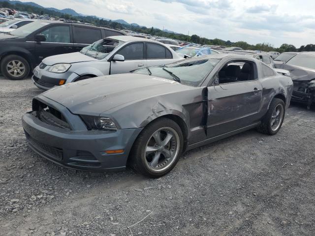 Ford All models (2014)