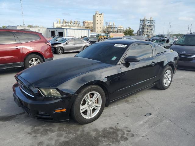Ford All models (2013)