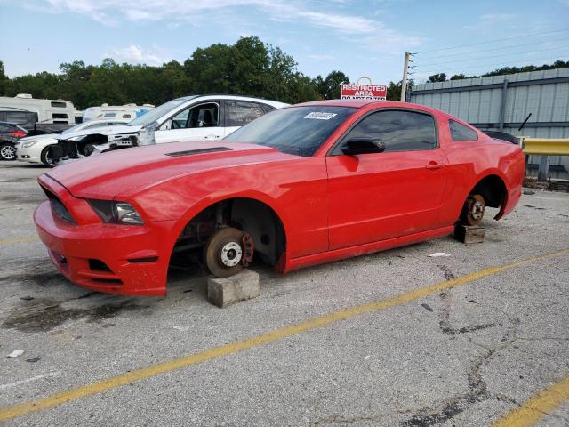 Ford All models (2013)