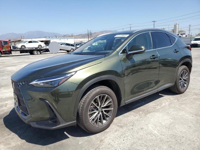 Lexus Nx 250 (2023)