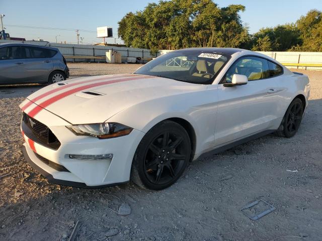 Ford All models (2019)