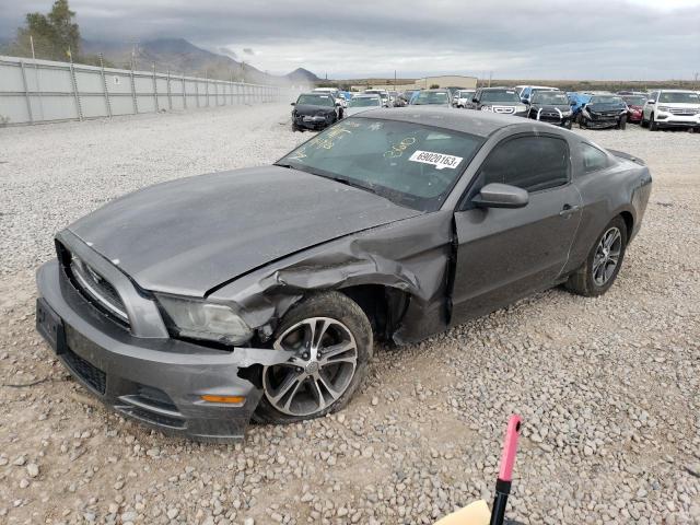 Ford All models (2013)