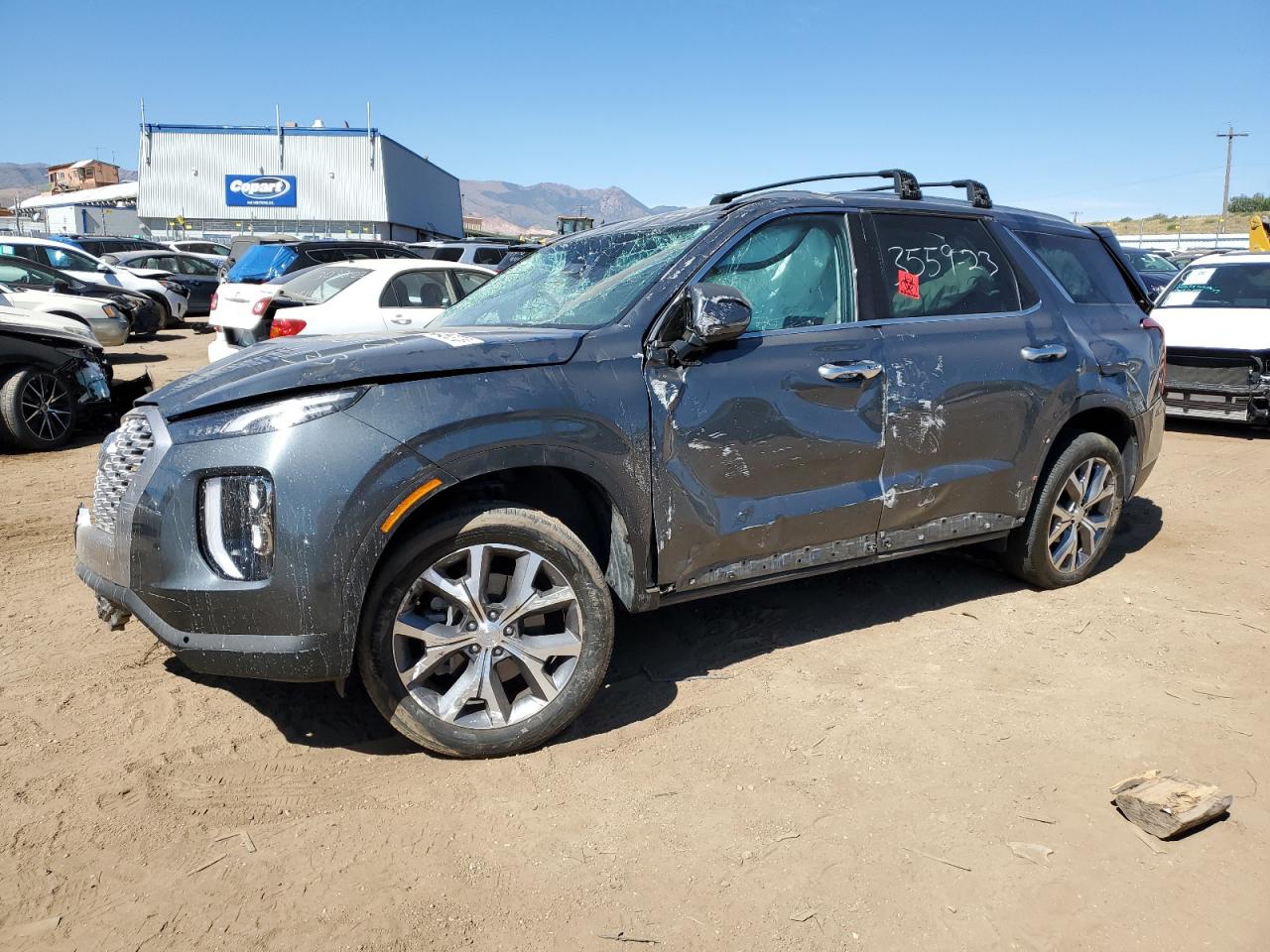 Hyundai Palisade (2022)