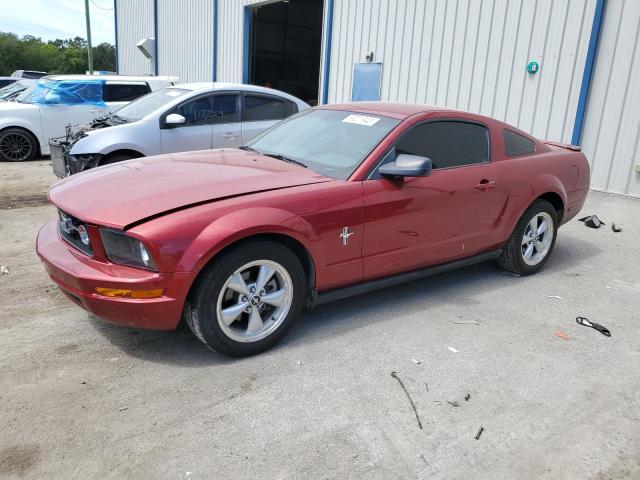 Ford All models (2007)