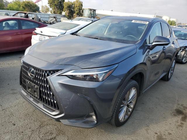 Lexus Nx 350 (2022)