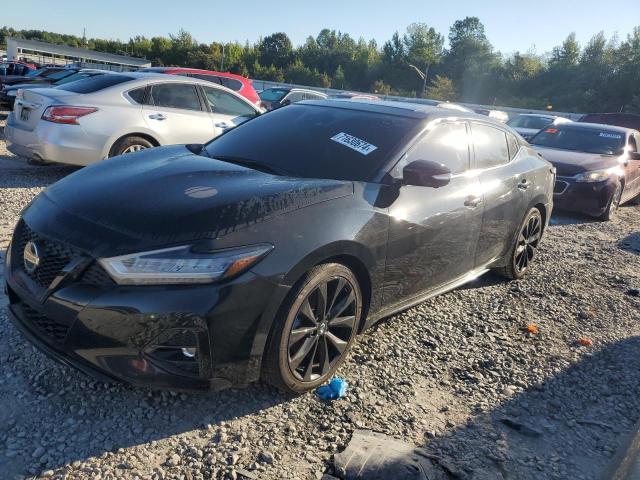 Nissan Maxima sr (2021)